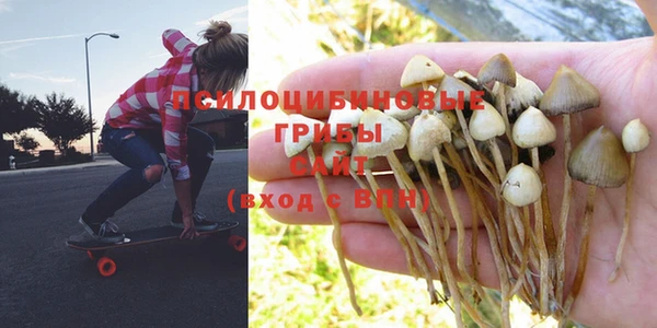прущая мука Дмитров