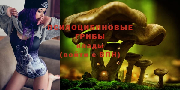 прущая мука Дмитров