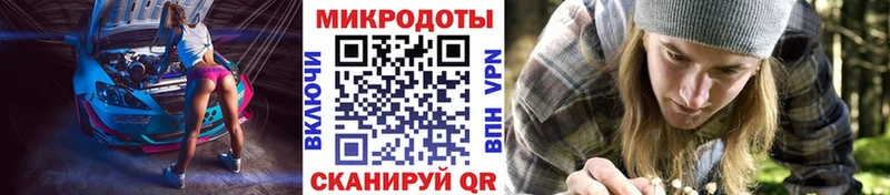 Купить закладки  Исилькуль  Псилоцибиновые грибы MAGIC MUSHROOMS 