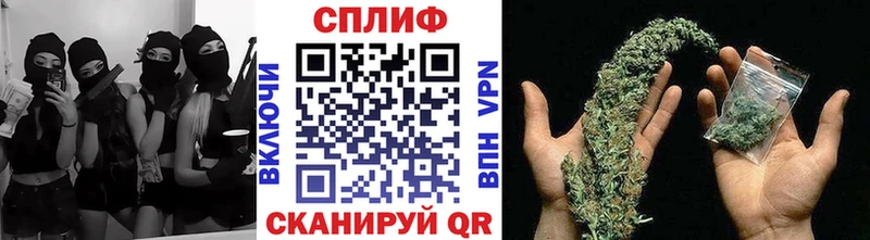 Купить закладки  Исилькуль  Каннабис индика 